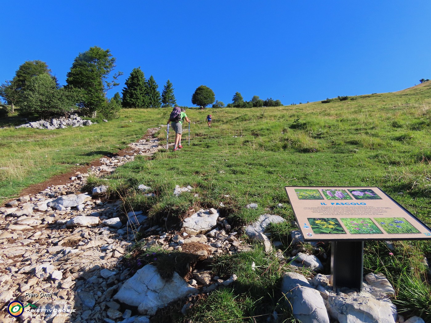07 Sul sentiero 221 in decisa salita e baciati dal sole .JPG